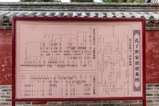 中国孔子世家谱谱系图