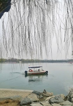 春天景色
