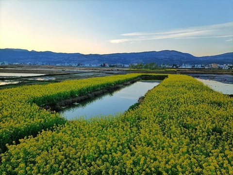 傍晚鄉(xiāng)村田野