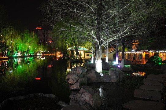 濟(jì)南環(huán)城公園夜景