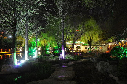 濟(jì)南環(huán)城公園夜景