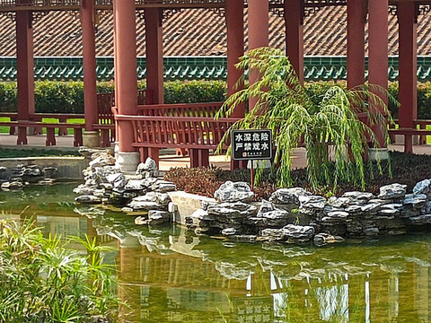 石頭
