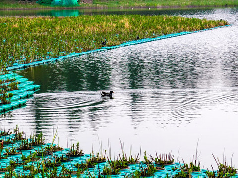 鶴鳴湖湖畔風景