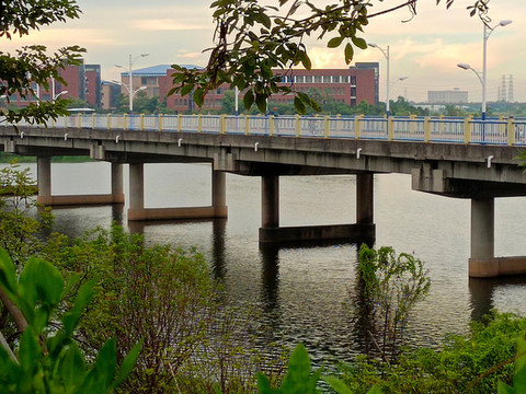橋