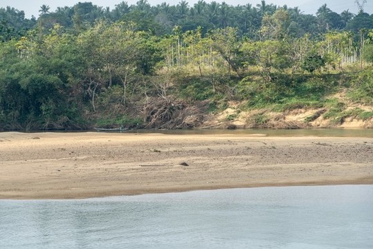 萬泉河的春天