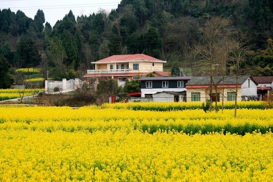 農(nóng)家春色