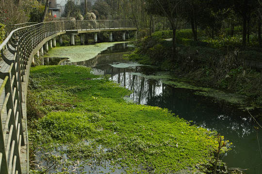 公園池塘