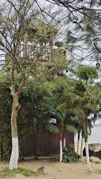 公園小路