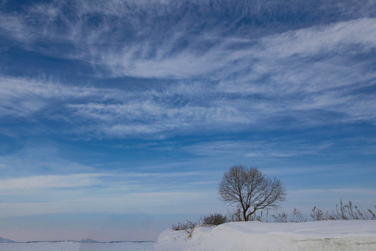 黑龍江冬雪景藍(lán)天白云大好河山