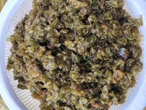 新鮮地皮菜