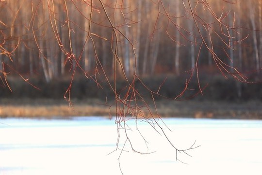 冬雪斜陽