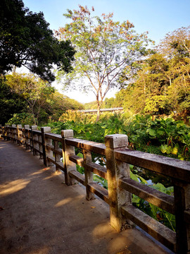 東湖公園步道護(hù)欄
