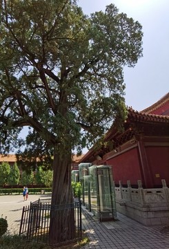 柏林禪寺