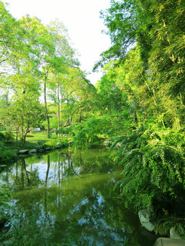 公園小景