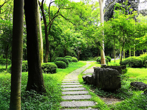 公園小路
