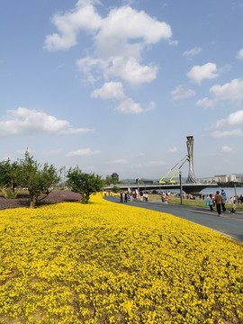 藍天火炬
