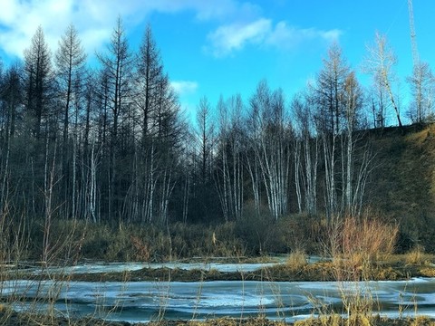 大山里的深秋
