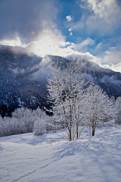 雪景與山景