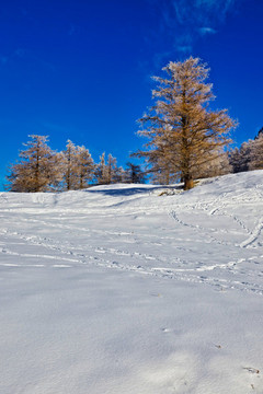雪景與山景