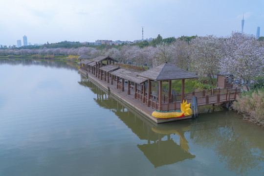海珠濕地公園