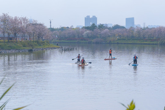 海珠濕地公園