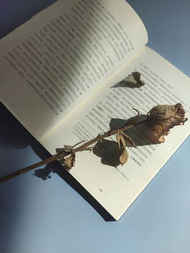 玫瑰干花永生花