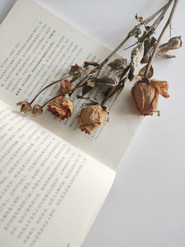 玫瑰干花花束