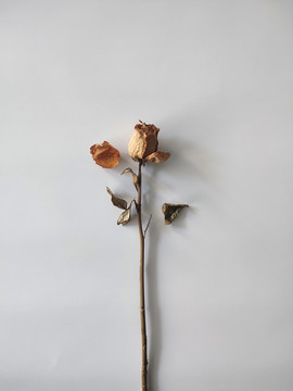 玫瑰干花花束