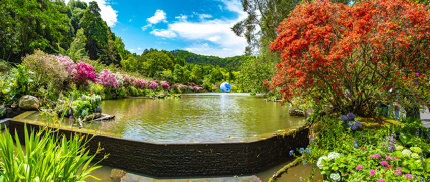 花海全景圖