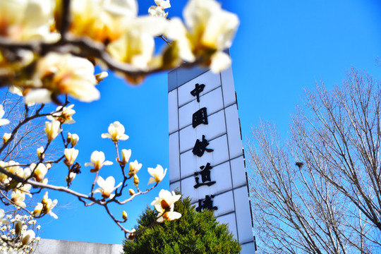 鐵道博物館東郊