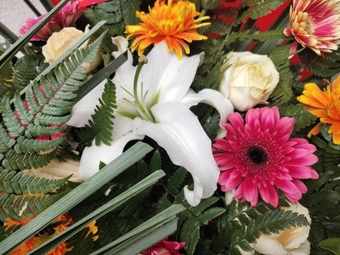 非洲菊與百合花
