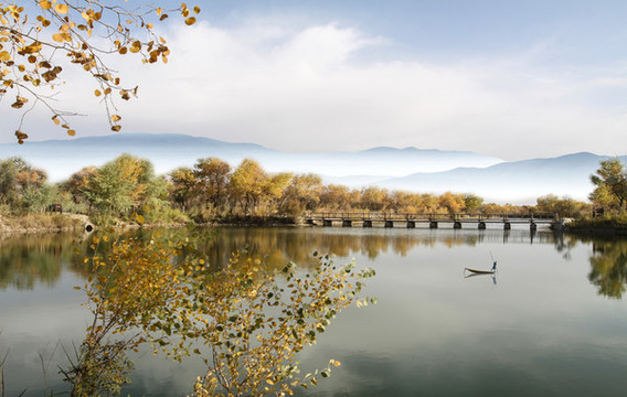 秋天的風(fēng)景
