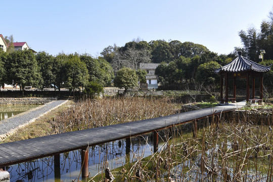 鄉(xiāng)村振興