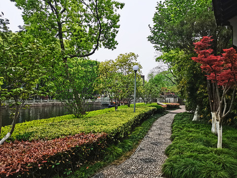 公園即景