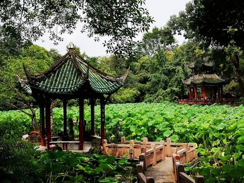 公園涼亭