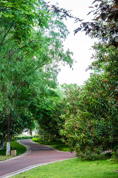 戶外公園景觀設(shè)計小路樹林