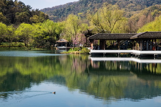 杭州西湖浴鵠灣