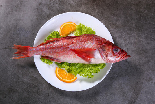 野生紅魚