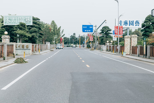 花卉小鎮(zhèn)馬路