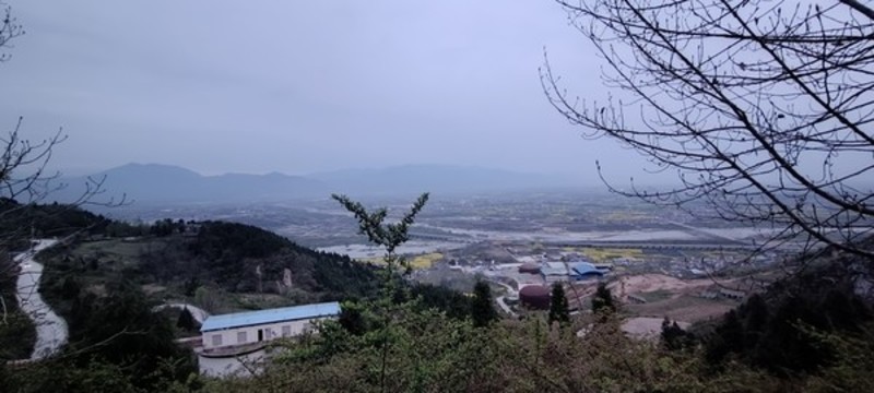 2022年南鄭油菜花