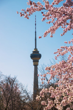電視塔