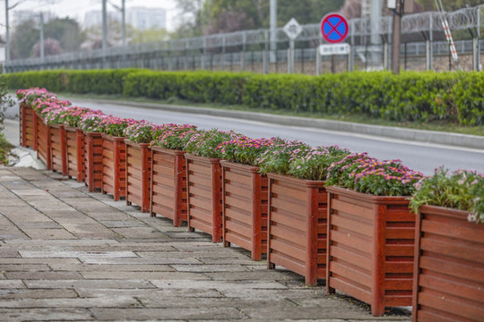 鮮花隔離欄