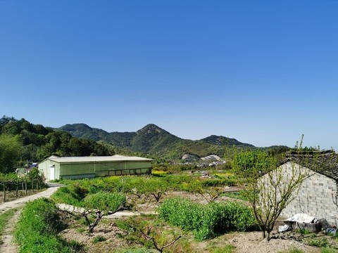 田園