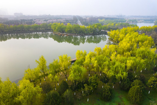 太液池