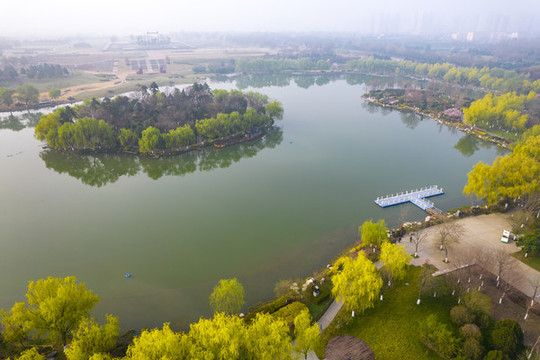 大明宮春景