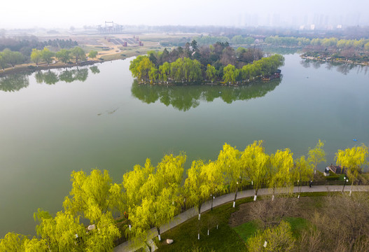 大明宮春色