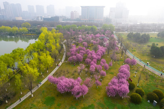 春景