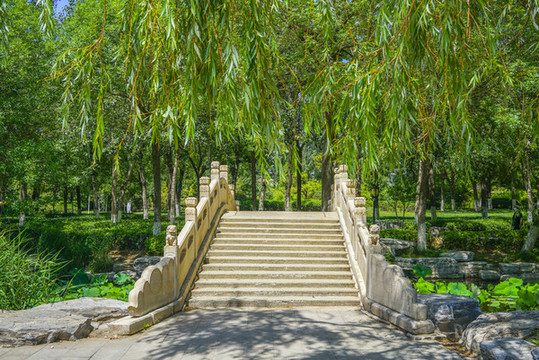 江南園林景觀漢白玉石橋