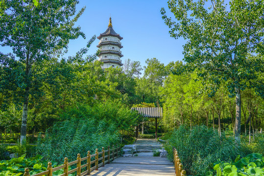 中式園林景觀木橋古典園林
