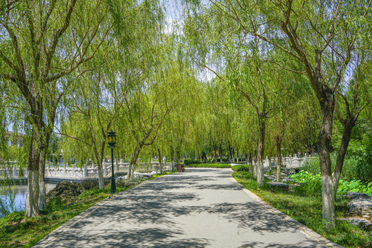 中式園林小路林蔭小路園林景觀
